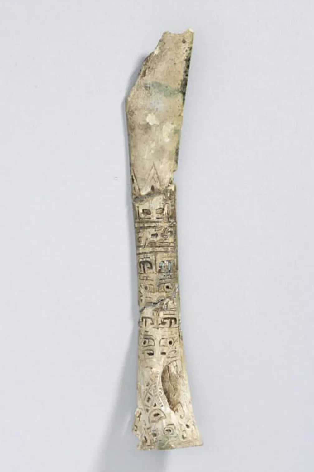 Trophée de chasse en os de tigre, os inscrit, première moitié du XIe siècle avant notre ère, dynastie Shang, période Anyang, cinquième période, Chine. Collection de l'évêque William C. White.