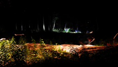 A forest scene at night lit only by headlamps from the ontario bioblitz teams as they survey in the dark