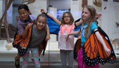 Four children stand with monarch wing costumes in front of an exhibit in the Schad Gallery at the ROM. Photo by Fatima Ali
