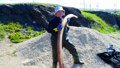 A photograph of a woman holding a bone of a blue whale.