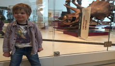 Theo stands next to a Triceratops skull in the Royal Ontario Museum's dinosaur gallery