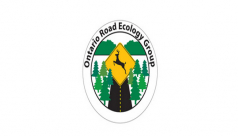 Ontario Road Ecology Group Logo