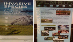 A poster containing information about invasive species produced by the Ministry of Natural Resources and GLIMRIS