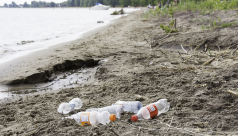 Plastic pollution found at Turkey Point on Lake Erie. Photo credit: Cristina Bergman