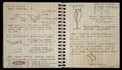 Pages from a puzzle-solver’s notebook – piecing eurypterids back together … on paper.