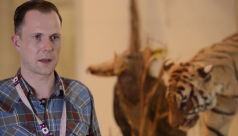 Ryan Farley, the ROM's lead concierge, near a tiger in the biodiversity gallery