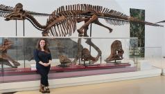Woman standing in the Dinosaur Gallery.