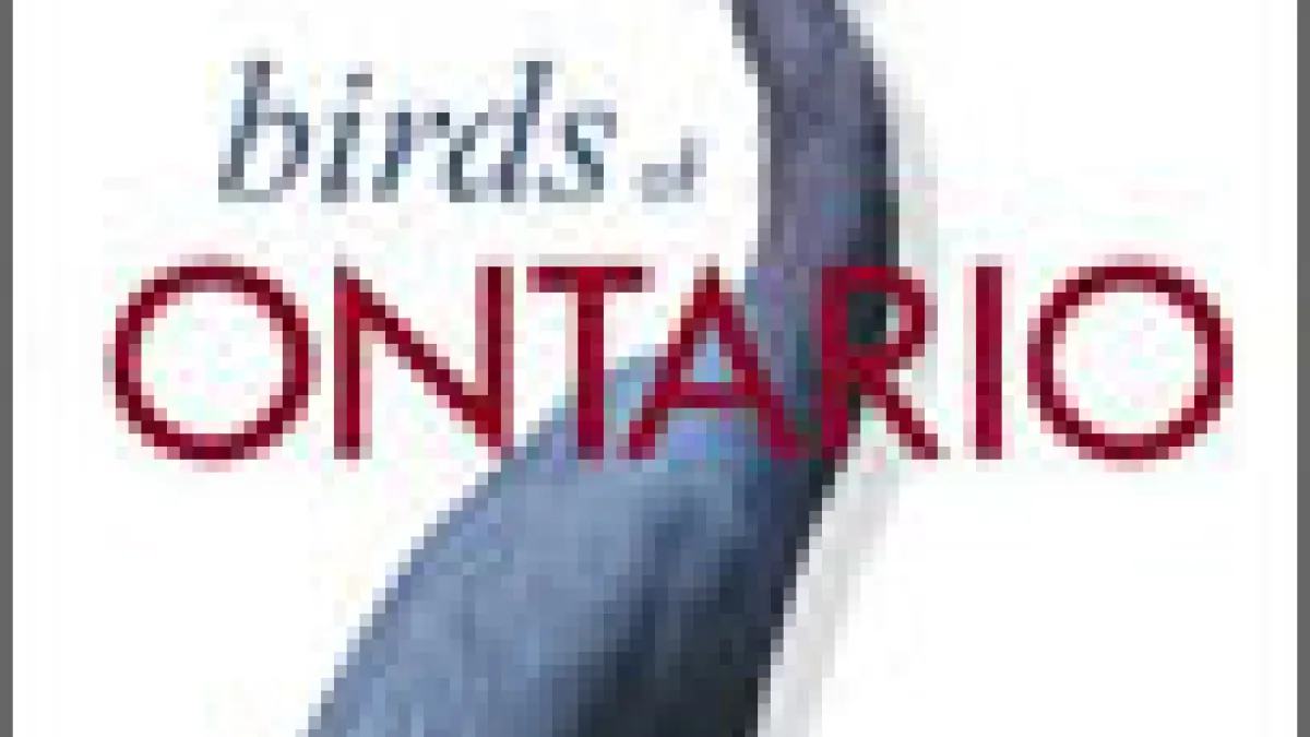 The ROM Field Guide to Birds of Ontario | Royal Ontario Museum