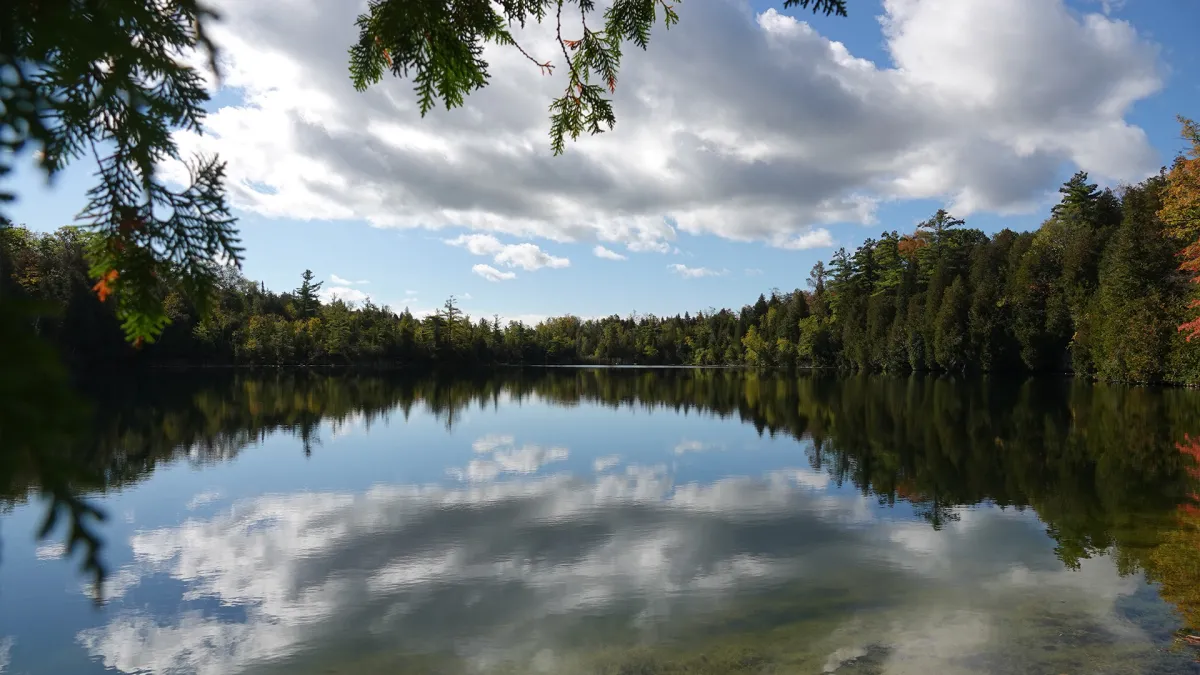 Crawford Lake: Layers in Time