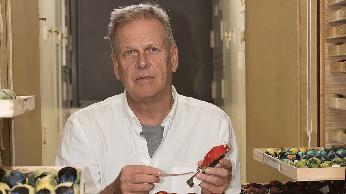 Ask ROM Anything: Mark Peck Royal Ontario Museum