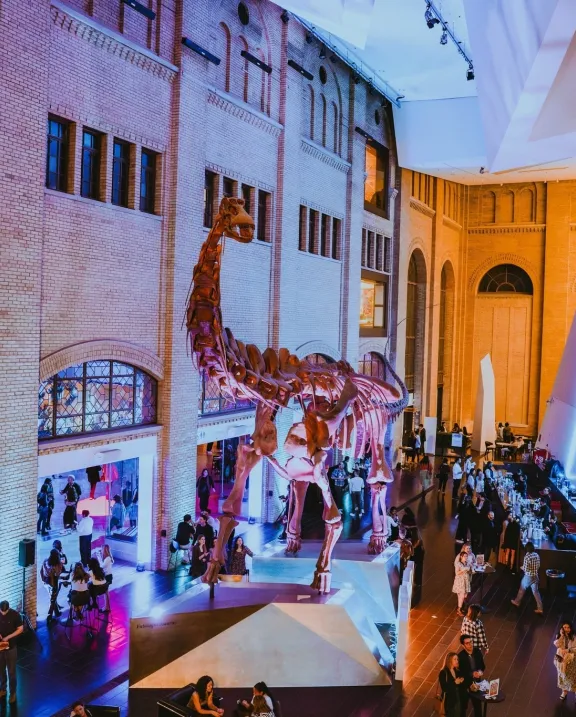 Royal Ontario Museum On