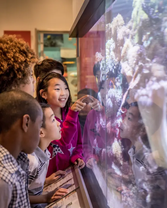 group of kids looking at an aquarium, one kid pointing inside the tank