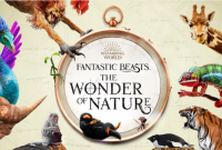 A pocketwatch containing the words Fantastic Beasts: The Wonder of Nature, surrounded by many real and imaginary animals.