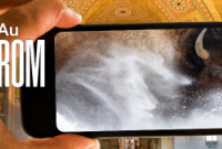 Texte "Au ROM'' superposé à une image d'un écran de téléphone cellulaire montrant la photo d'un bison