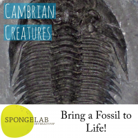 a picture of a trilobite with the title "Cambrian Creatures"