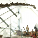 A class sits beneath a long-necked dinosaur
