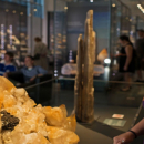 A visitor examines a mineral specimen