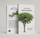 A Field Guide to Trees of Ontario