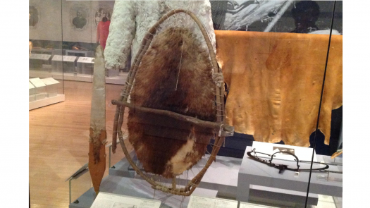 a beaver pelt stretched on a wooden frame