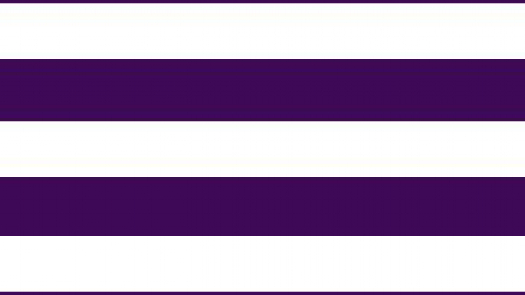 illustration of two purple lines running parallel across a white belt