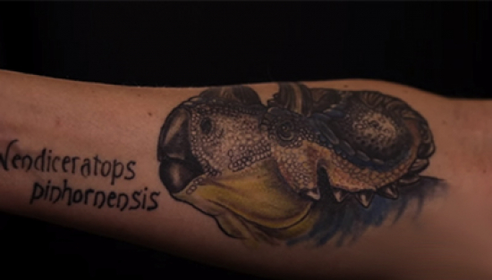 A tattoo of a dinosaur, a Wendiceratops pinhornensis, on a woman’s right forearm.