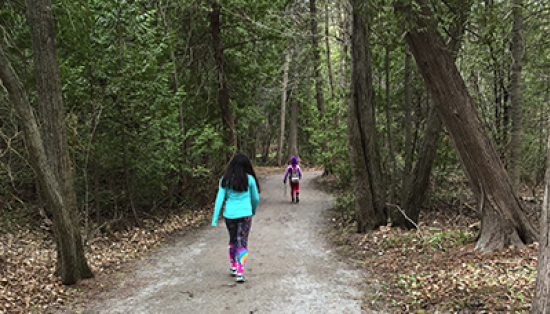 Children walking along a path in the forest.