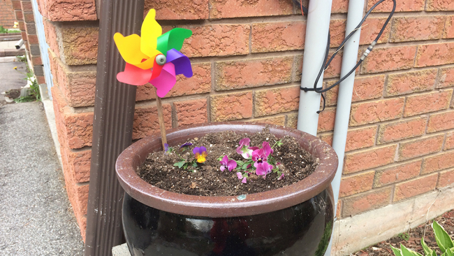 Potted flowers in front of a brick wall, with a rainbow pinwheel stuck in the pot's dirt.