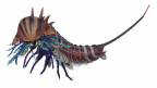 Habelia, a fossil predator with a “multi-tool” head
