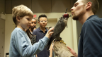 Earth Day at the ROM: Saving the Fastest Birds in the World!