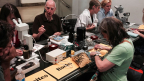 Rock, Gem, Mineral, and Fossil Identification Clinic- June 18, 2024