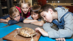 Partners Enable Children to Visit the ROM 