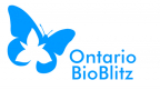 Ontario BioBlitz
