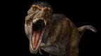 T. rex: Le prédateur suprême
