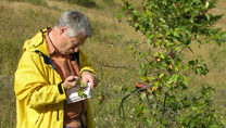 Tim Dickinson in the field, taking notes on a small hawthorn in British Columbia in August 2010.