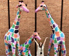 Gallivanting Giraffes