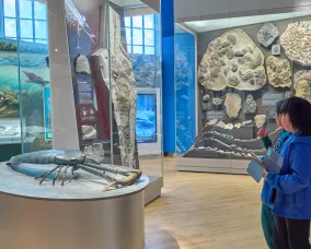 Un élève examine une maquette et un modèle représentant la vie marine antique