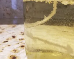 Close up of the string in the sugar water mixture where crystals have begun forming.