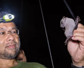 Burton Lim, Assistant Curator in the Department of Natural History at ROM.