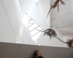 Tiny Times visits the ROM