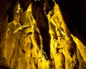 Tiny Times visits the ROM