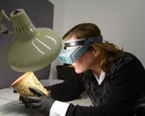 Place-holder image of Stephanie Allen condition reporting an incoming loan for Maya