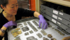 Kay Sunahara in collection storage examining fragments of Roman scale mail armour from Dura Europos, Syria