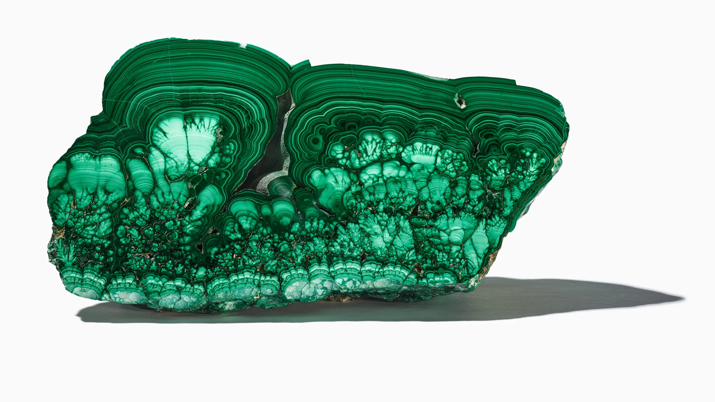 Une tranche de malachite d'un vert éclatant