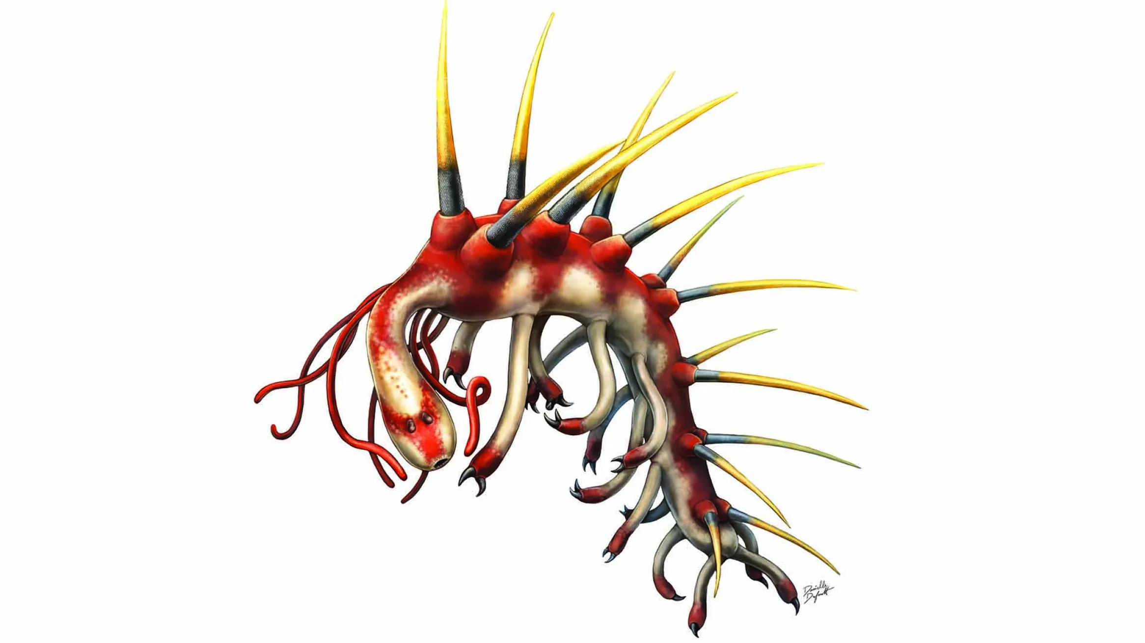 Hallucigenia