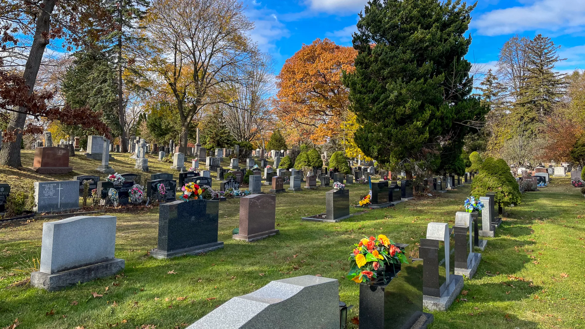 Park Lawn Cemetery 
