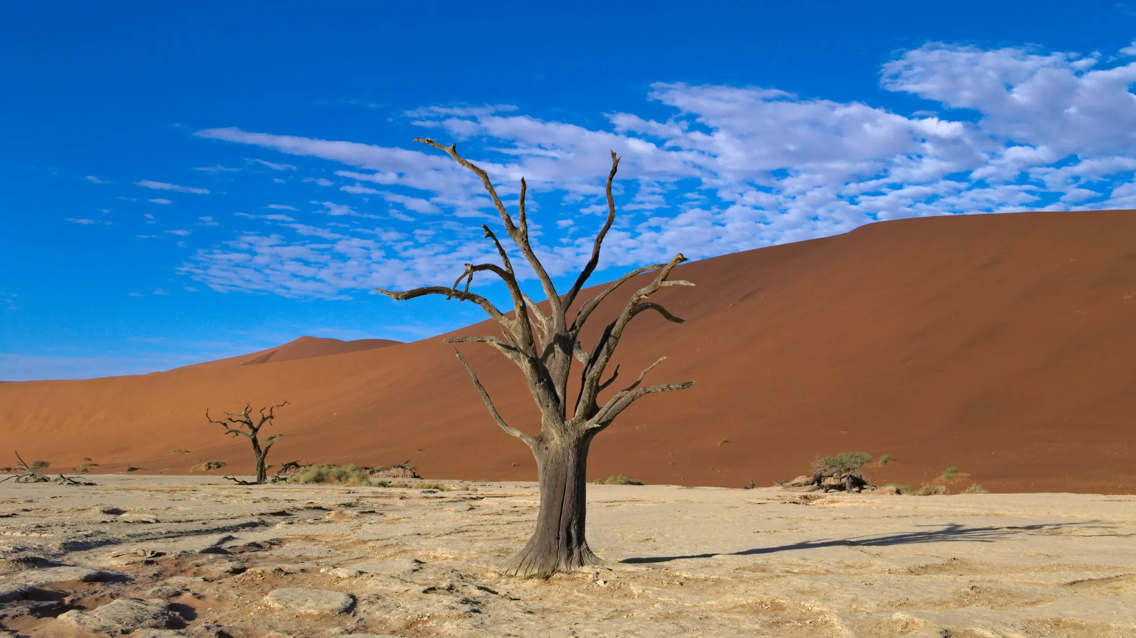 : Deadvlei Daniel Kraft Wikimedia Creative Commons Attribution-Share Alike 3.0 © Daniel Kraft, 2019.