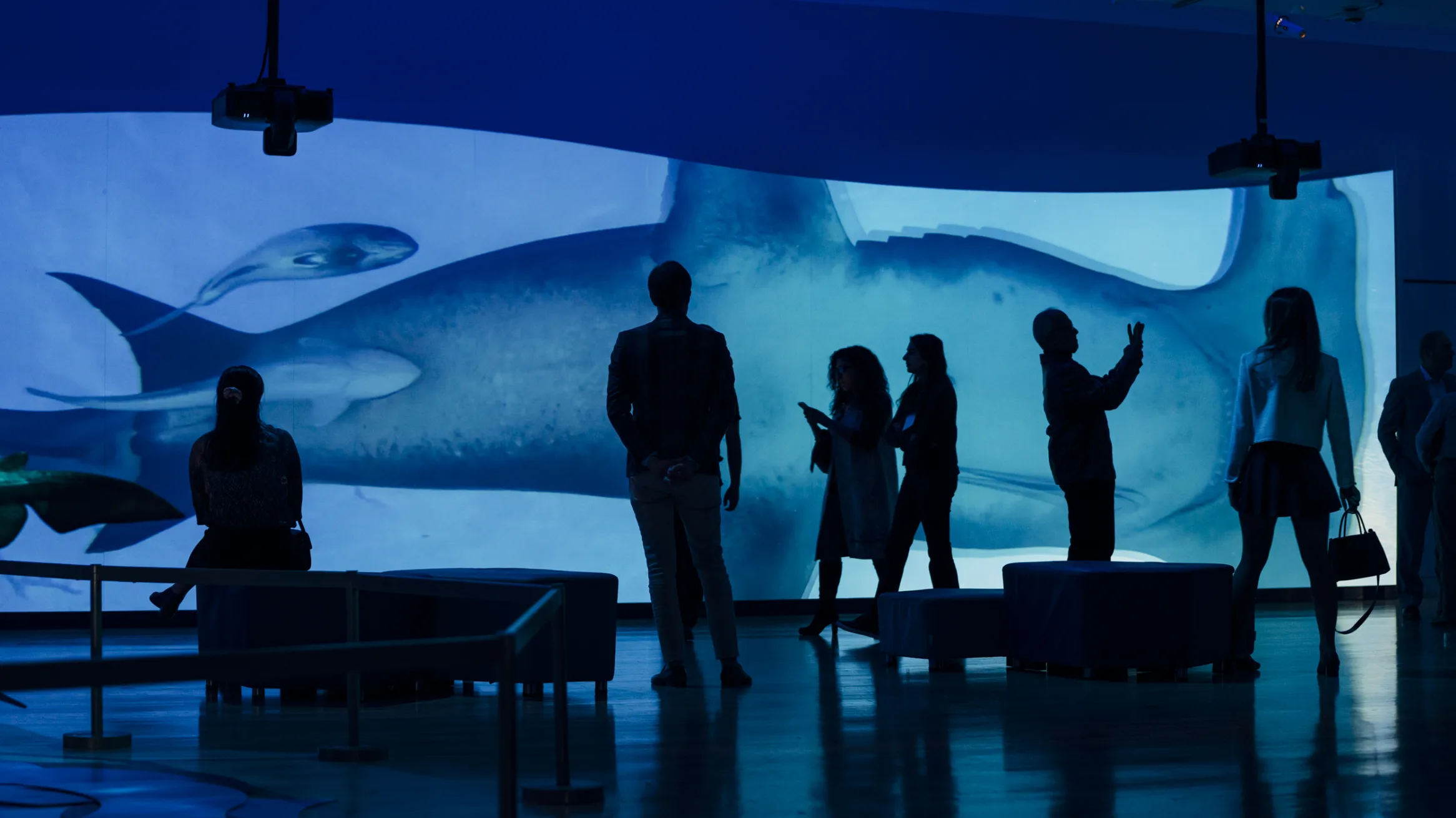 Patrons in a dimly lit room with sharks being displayed on a large screen in the background.