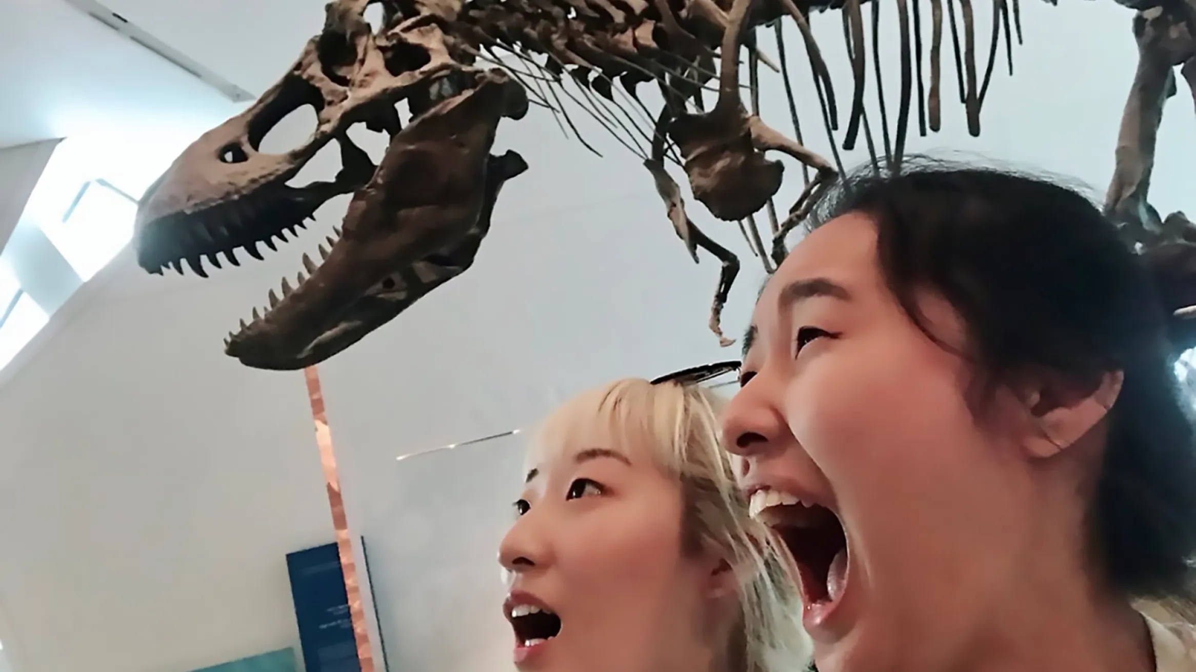 Two girls pretend to be scared in front of a T.rex skeleton