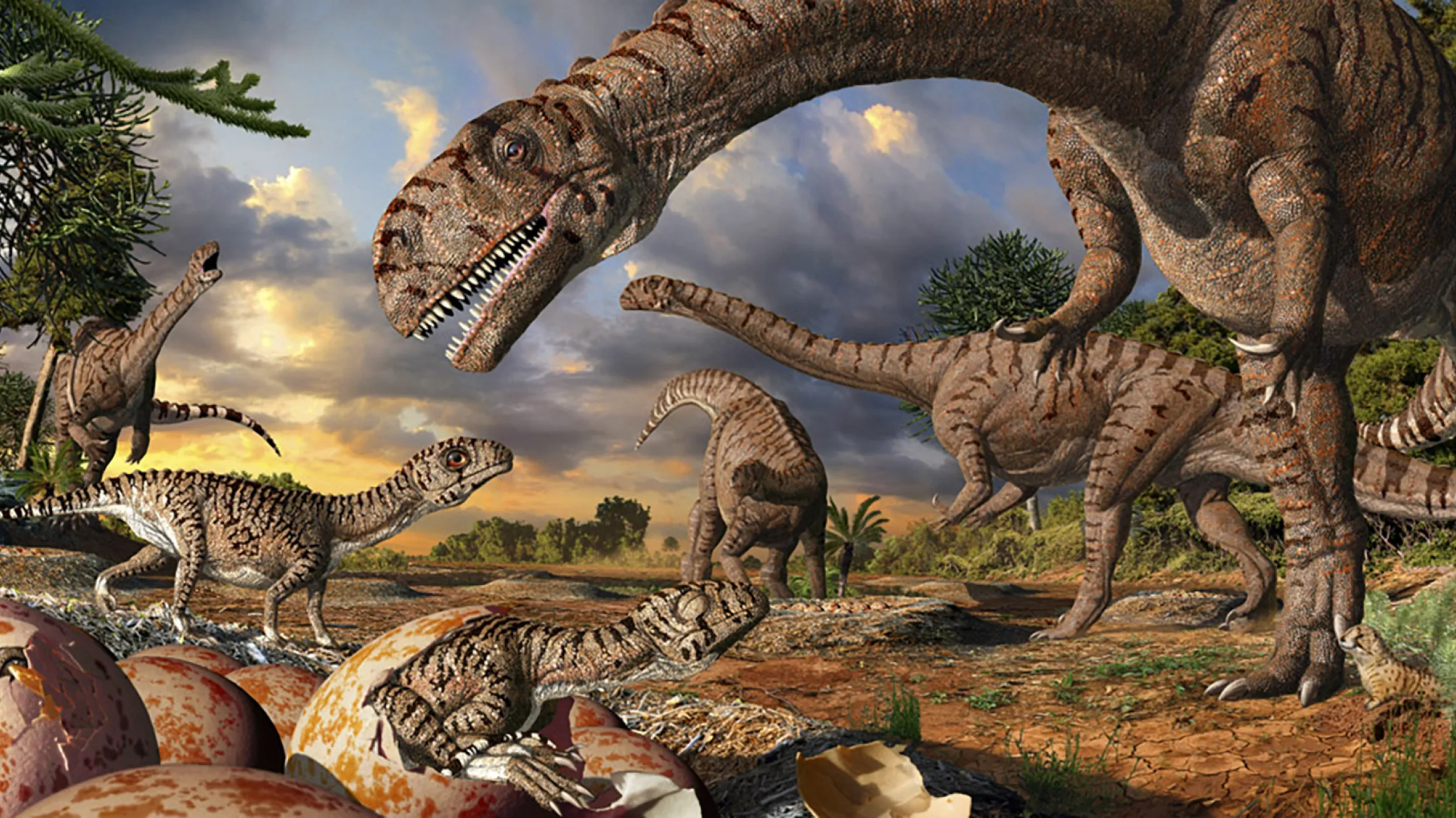 ROM image: Massospondylus mural by Julius Csotonyi.