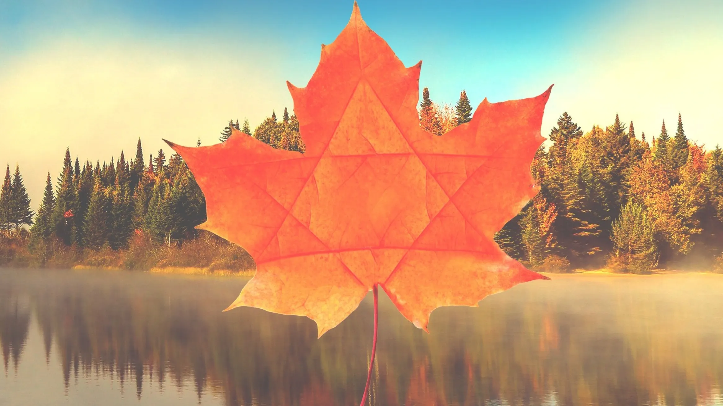 Search Out the Land - Festival poster